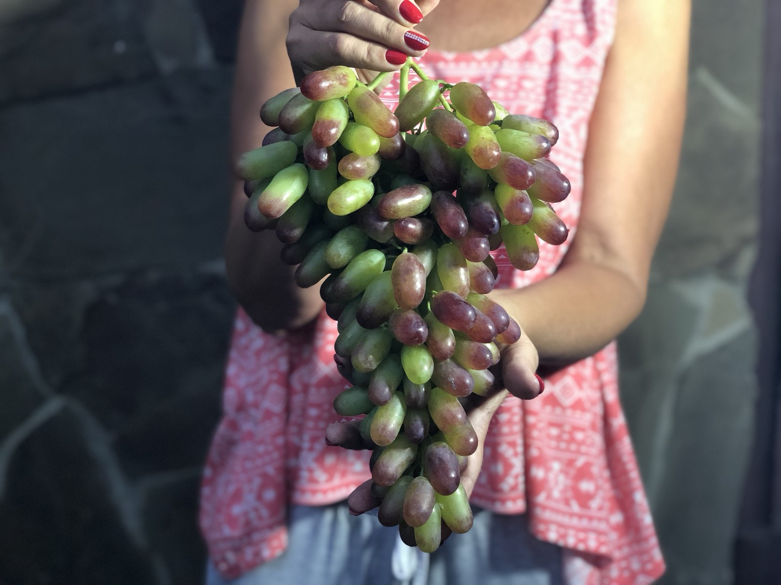 Виноградник Юліних - ПІЗНІ ТЕРМІНИ ДОЗРІВАННЯ ВИНОГРАДУ - манікюр фінгер
